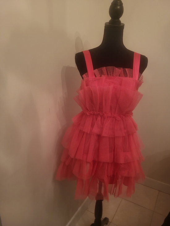 Streetwear Society Dresses & Skirts - Streetwear Society Pink Ruffled Tulle Mini Dress